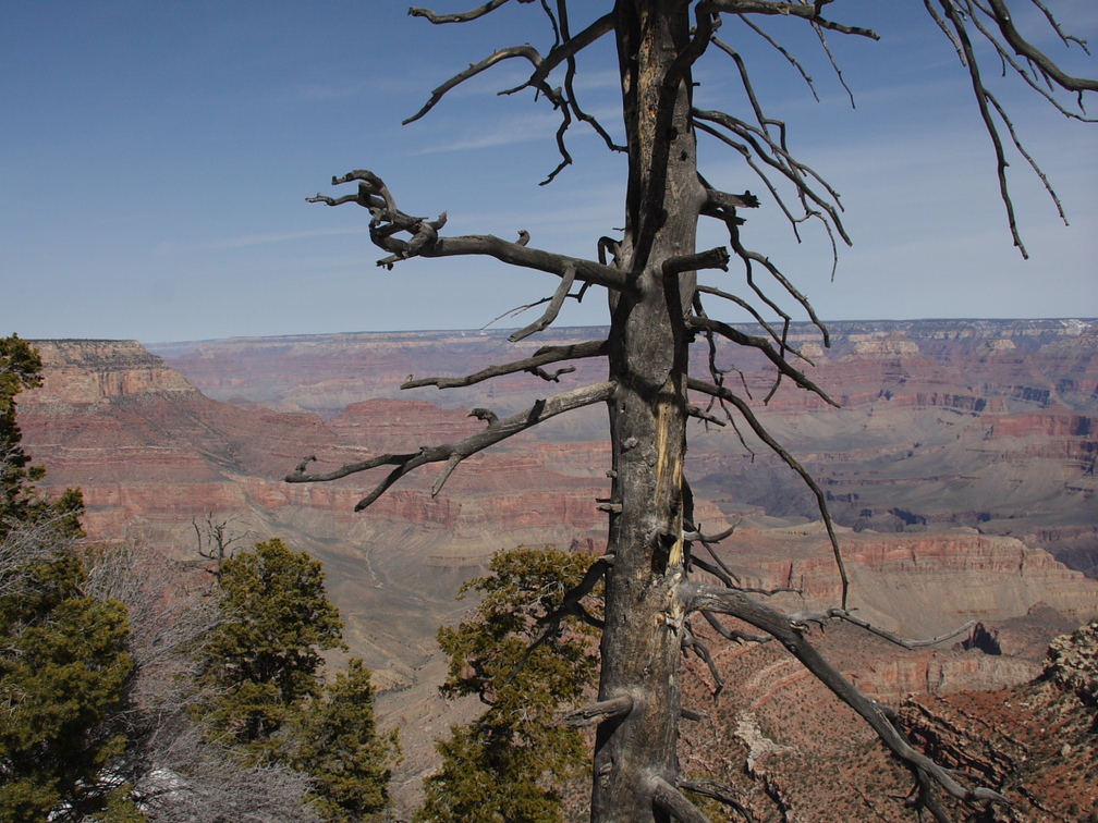 Grand Canyon Trip 2010 492